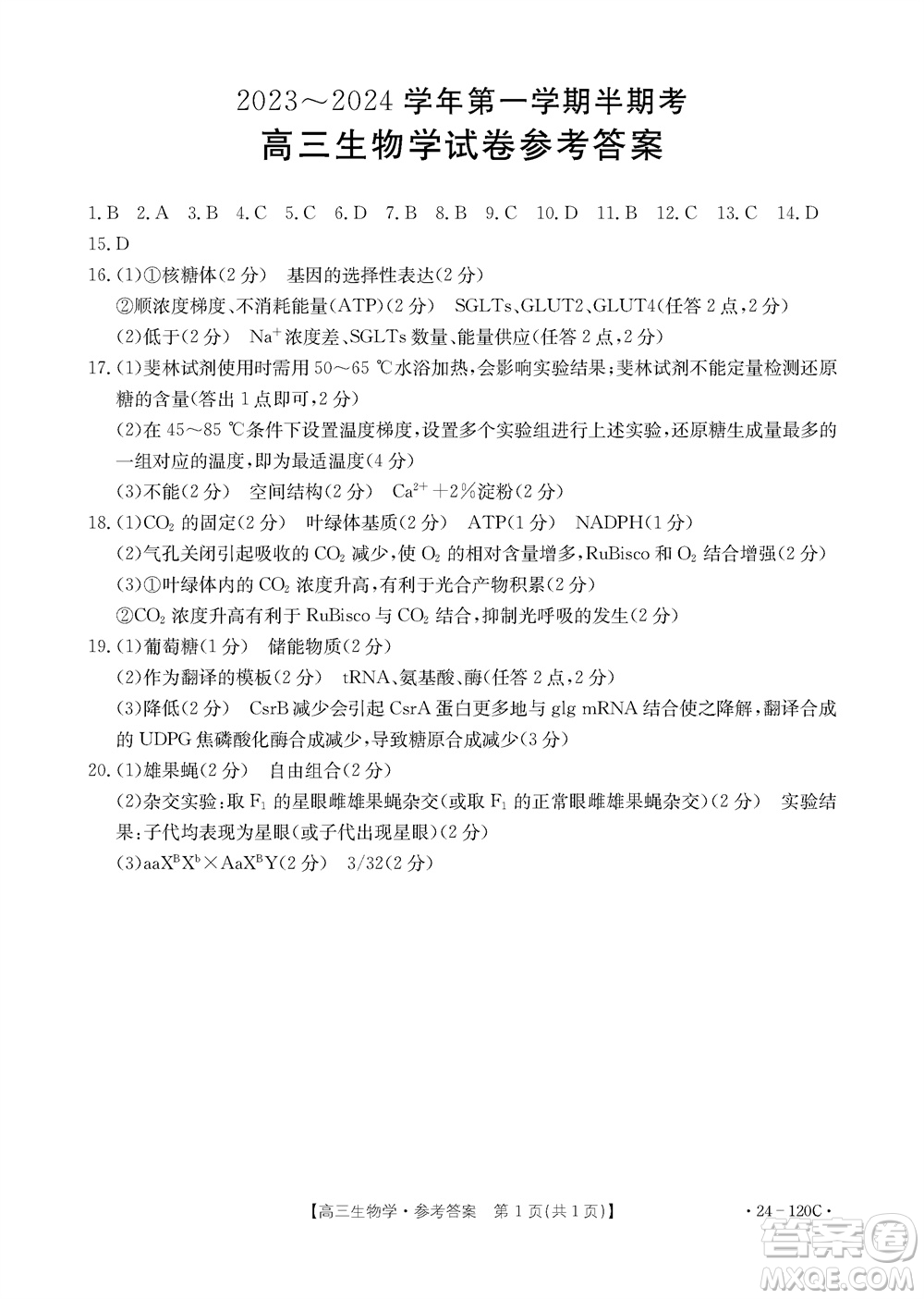 福建龍巖名校2023-2024學年高三上學期11月期中考試試題生物答案