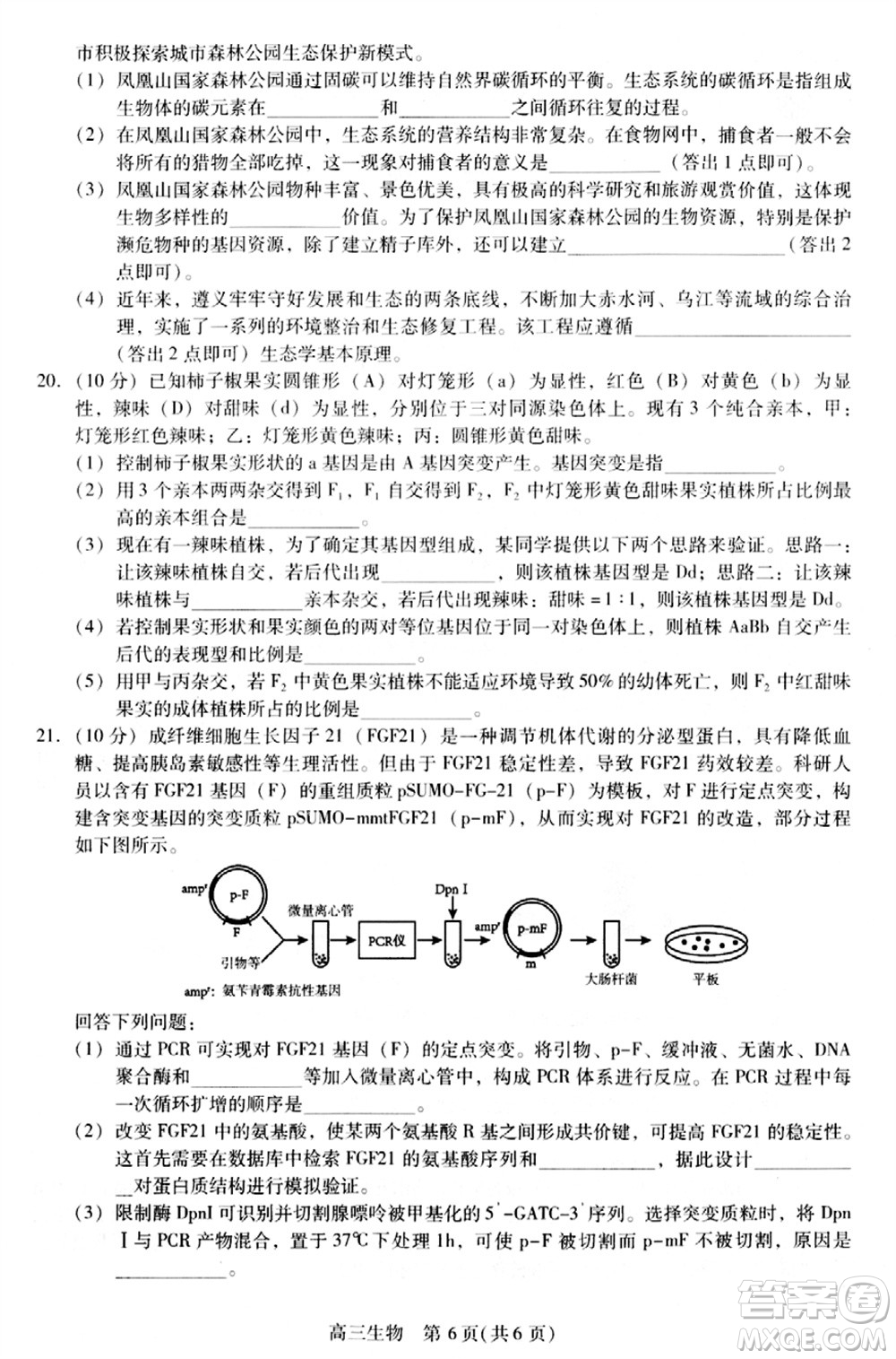 貴州名校協(xié)作體2023-2024學(xué)年高三上學(xué)期11月聯(lián)考一生物參考答案