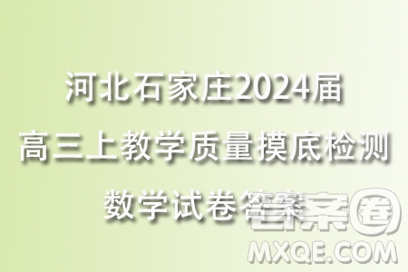 河北石家莊2024屆高三上學(xué)期教學(xué)質(zhì)量摸底檢測數(shù)學(xué)試卷答案