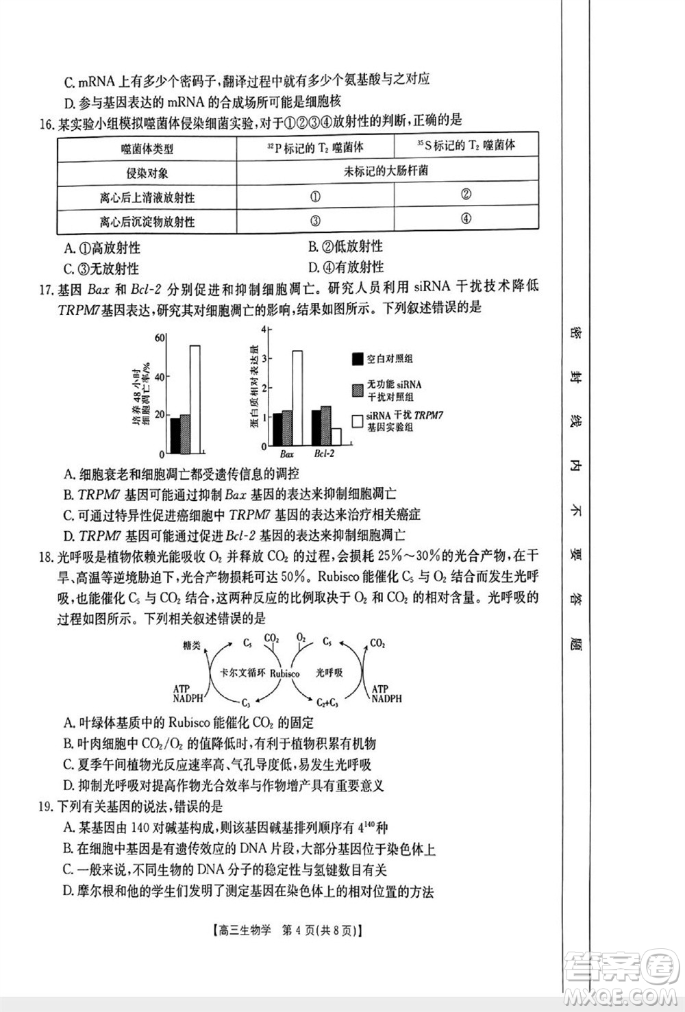 山西省2024屆高三上學(xué)期11月金太陽(yáng)聯(lián)考生物試題答案