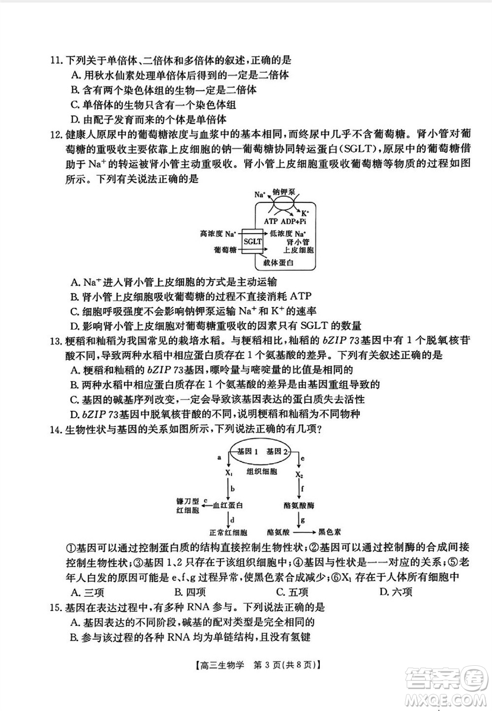 山西省2024屆高三上學(xué)期11月金太陽(yáng)聯(lián)考生物試題答案