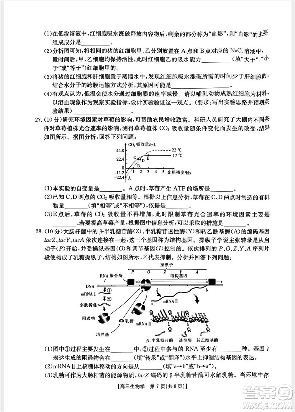 山西省2024屆高三上學(xué)期11月金太陽(yáng)聯(lián)考生物試題答案