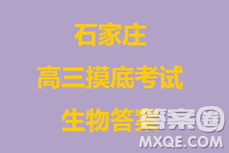 石家莊市2024屆高三上學(xué)期11月教學(xué)質(zhì)量摸底檢測(cè)生物答案