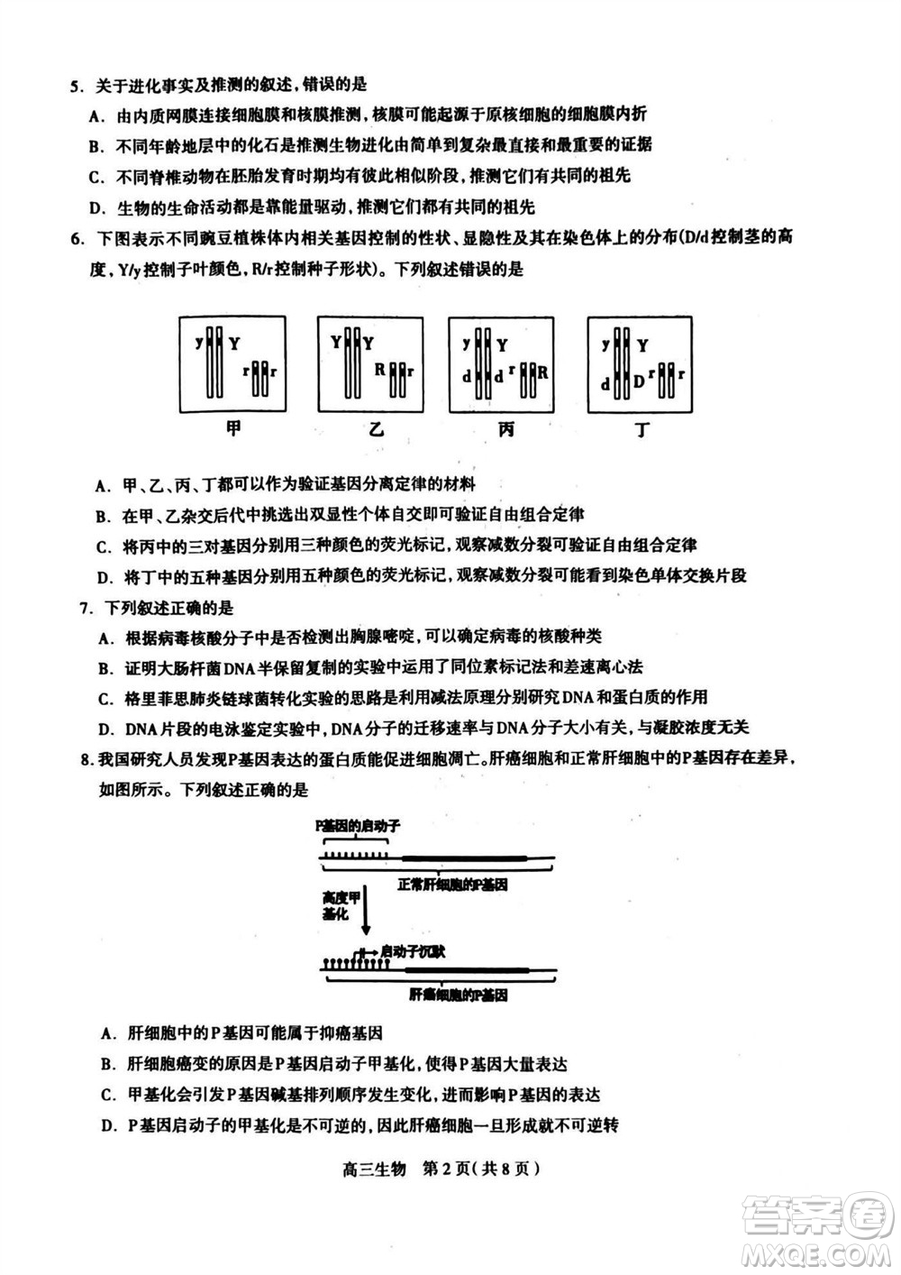 石家莊市2024屆高三上學(xué)期11月教學(xué)質(zhì)量摸底檢測(cè)生物答案