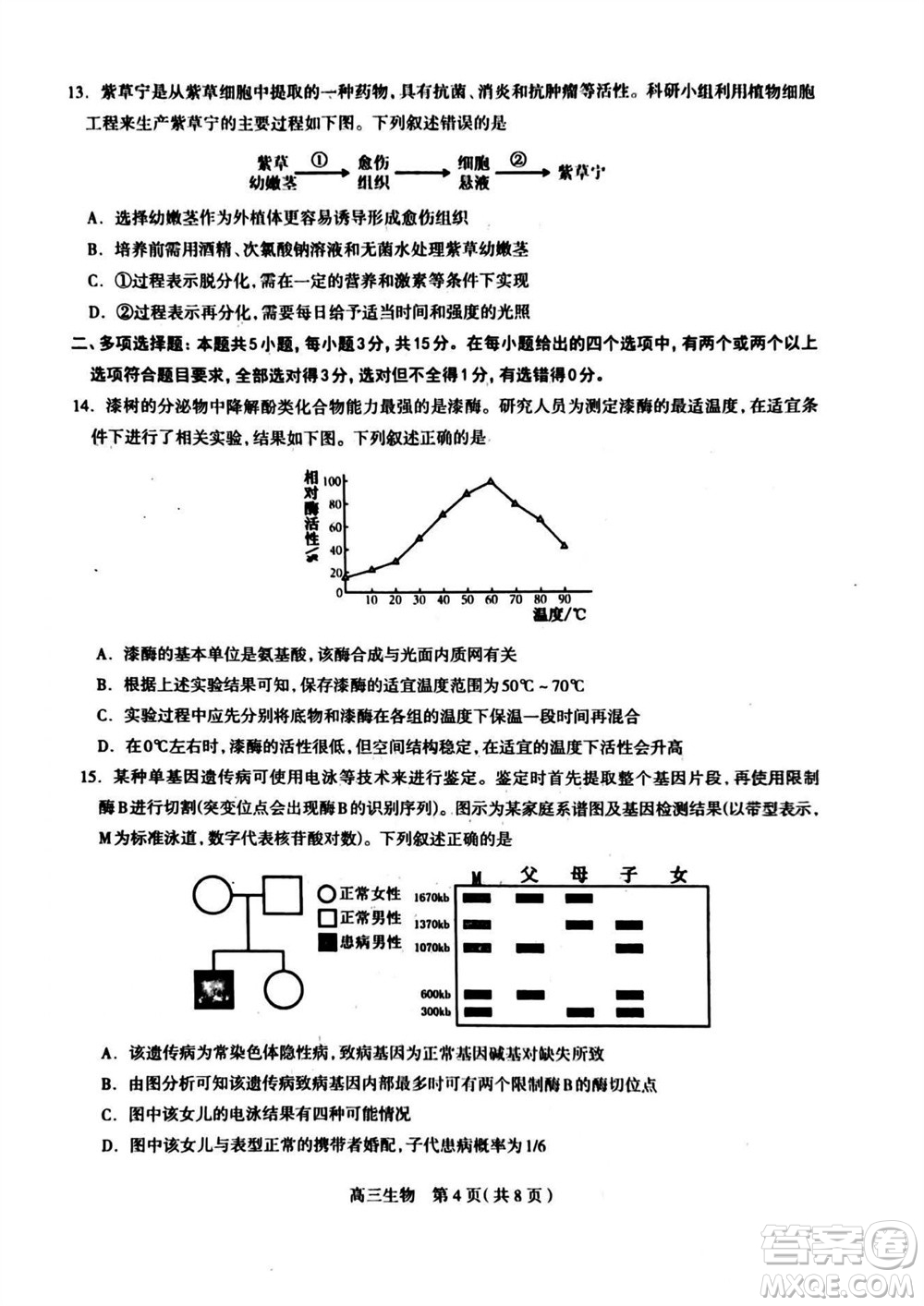 石家莊市2024屆高三上學(xué)期11月教學(xué)質(zhì)量摸底檢測(cè)生物答案