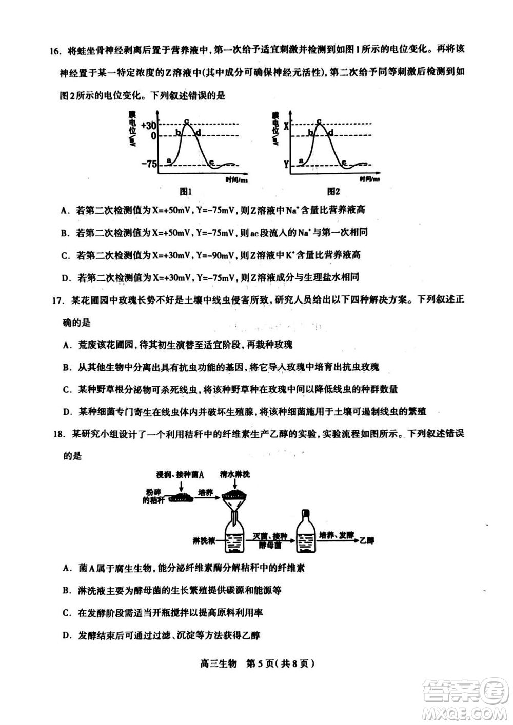 石家莊市2024屆高三上學(xué)期11月教學(xué)質(zhì)量摸底檢測(cè)生物答案