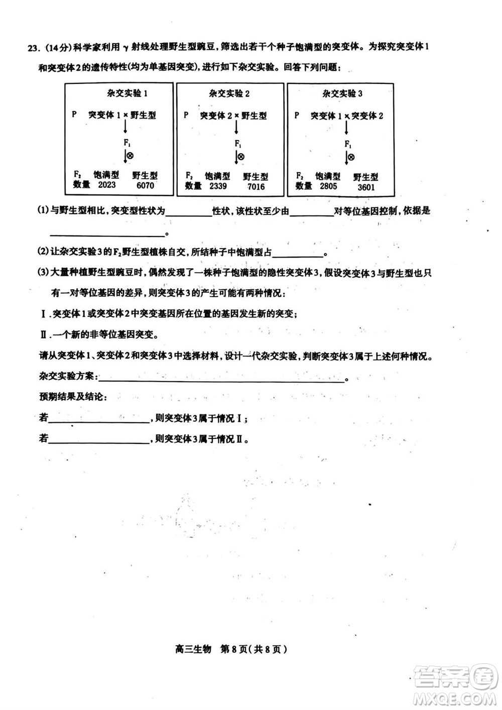 石家莊市2024屆高三上學(xué)期11月教學(xué)質(zhì)量摸底檢測(cè)生物答案