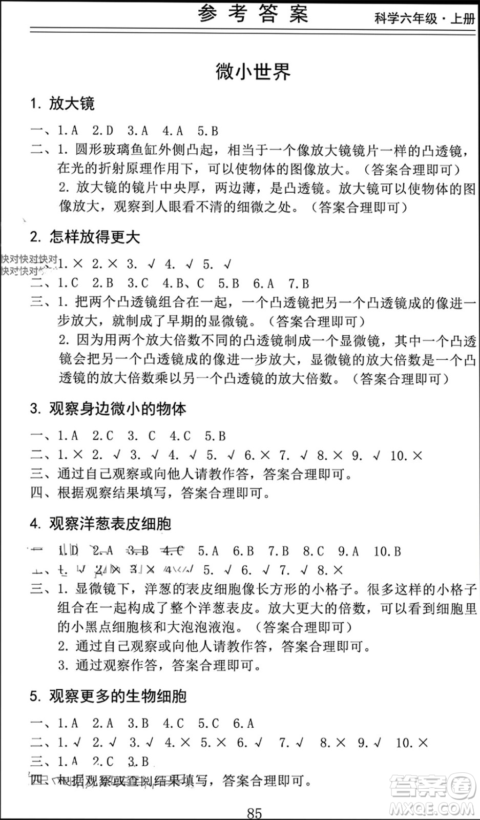 山東科學(xué)技術(shù)出版社2023年秋新思維伴你學(xué)六年級(jí)科學(xué)上冊教科版參考答案