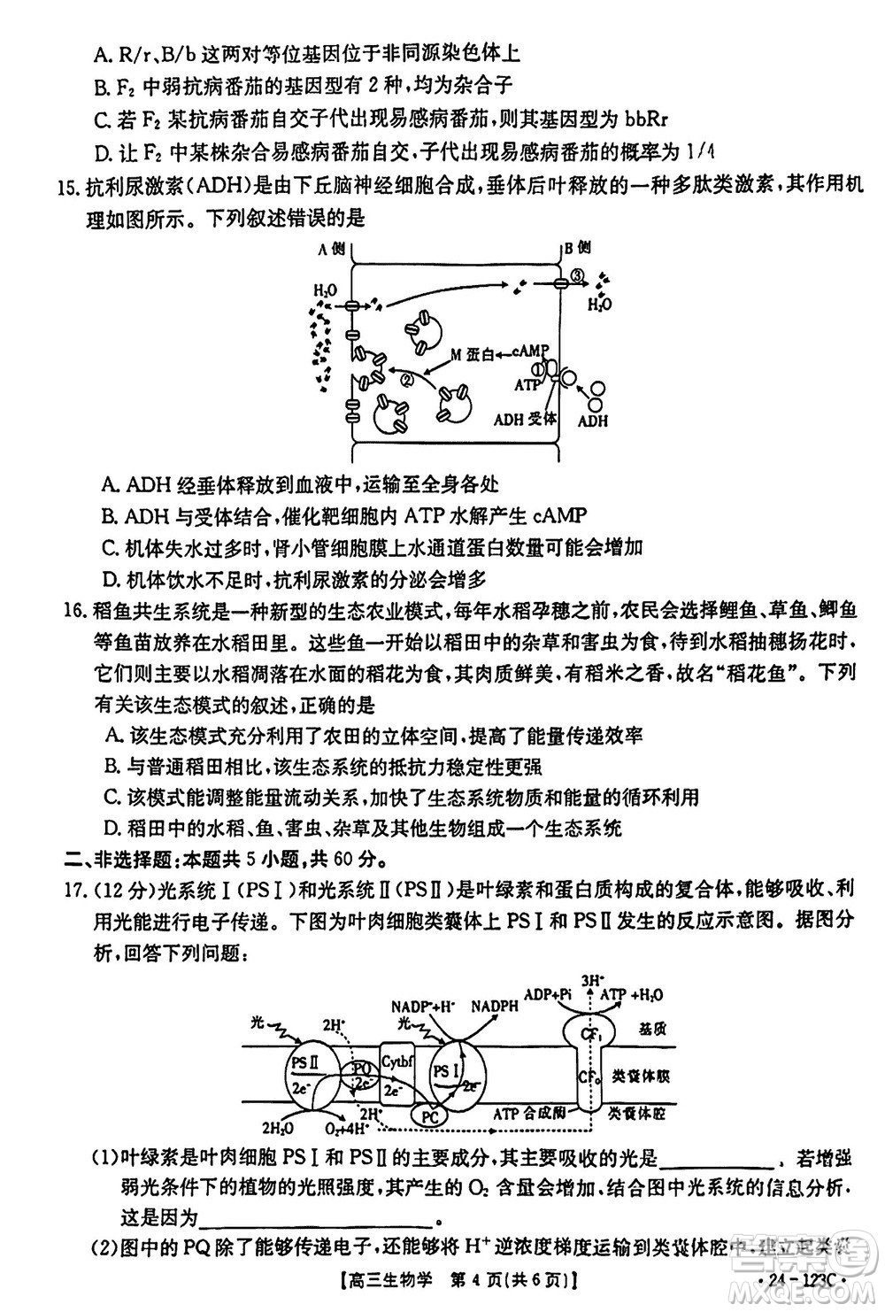 廣西金太陽(yáng)2024屆高三上學(xué)期11月跨市聯(lián)合適應(yīng)性訓(xùn)練檢測(cè)卷24-123C生物答案