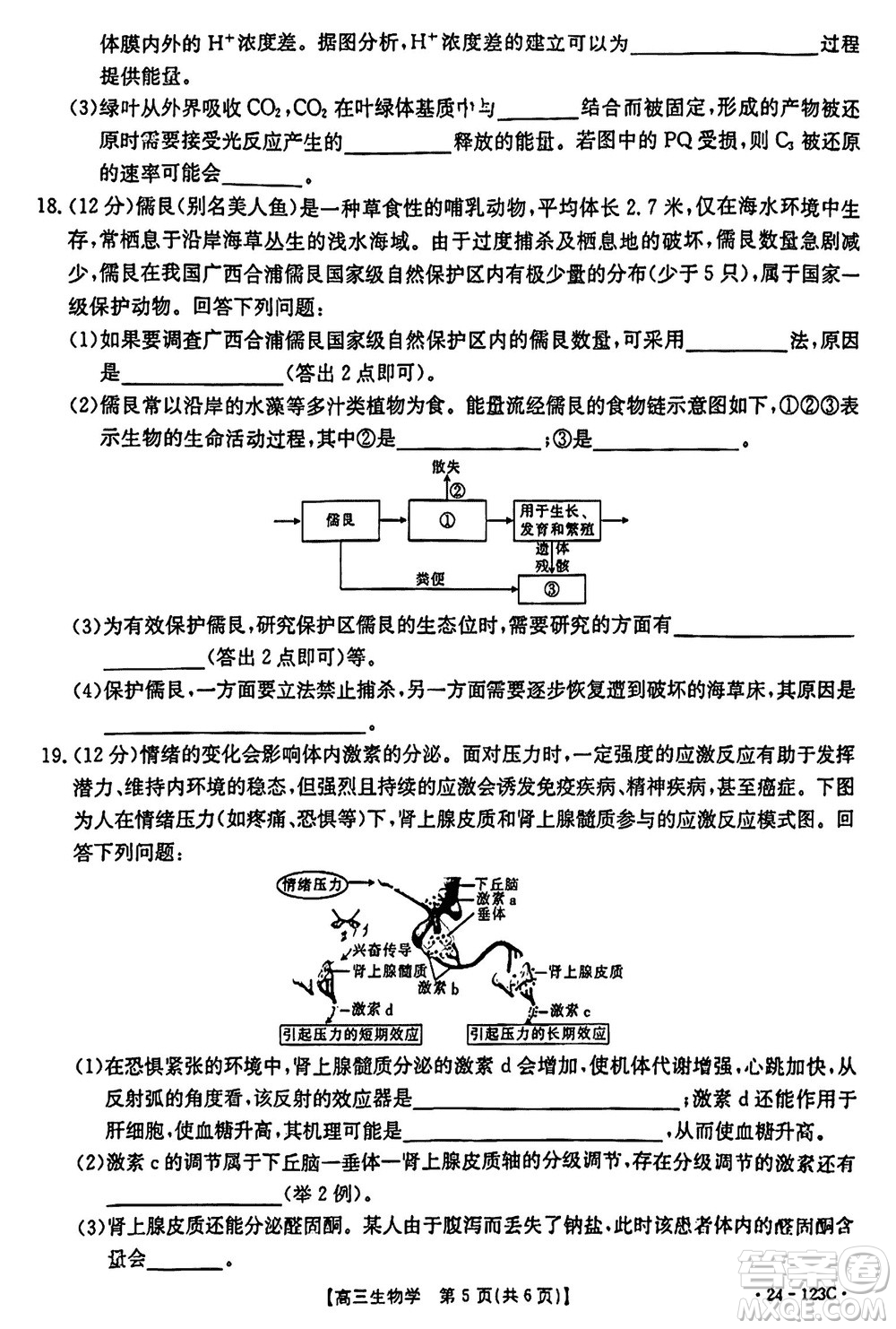 廣西金太陽(yáng)2024屆高三上學(xué)期11月跨市聯(lián)合適應(yīng)性訓(xùn)練檢測(cè)卷24-123C生物答案