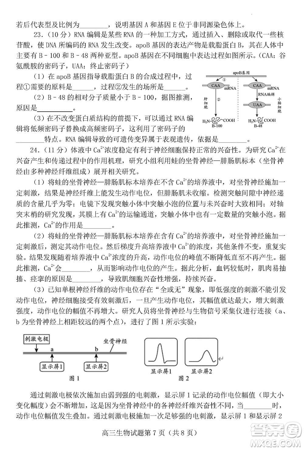 日照2021級(jí)高三上學(xué)期11月期中校際聯(lián)合考試生物參考答案