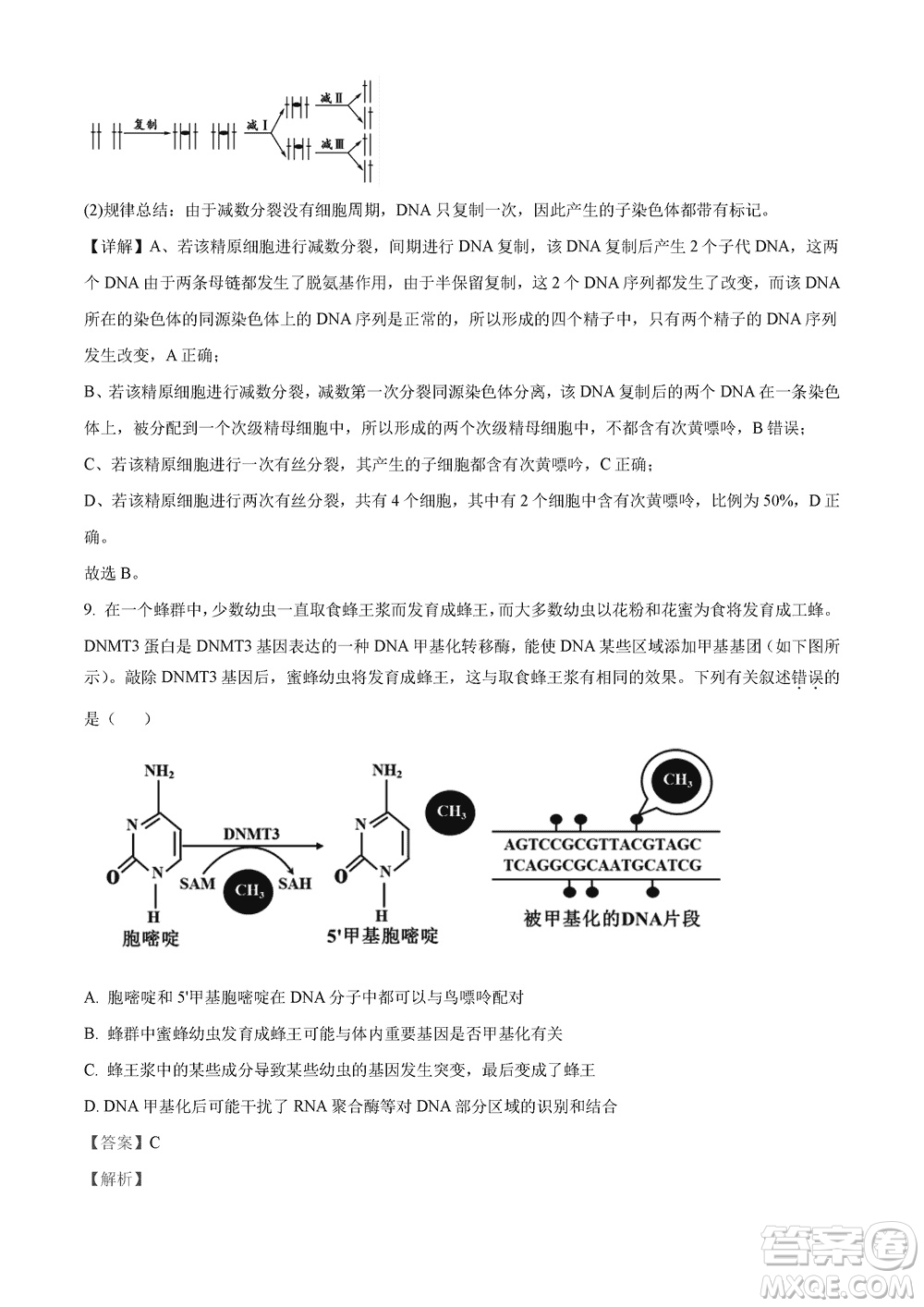 2023年11月湖南岳汨聯(lián)考高三期中考試生物參考答案