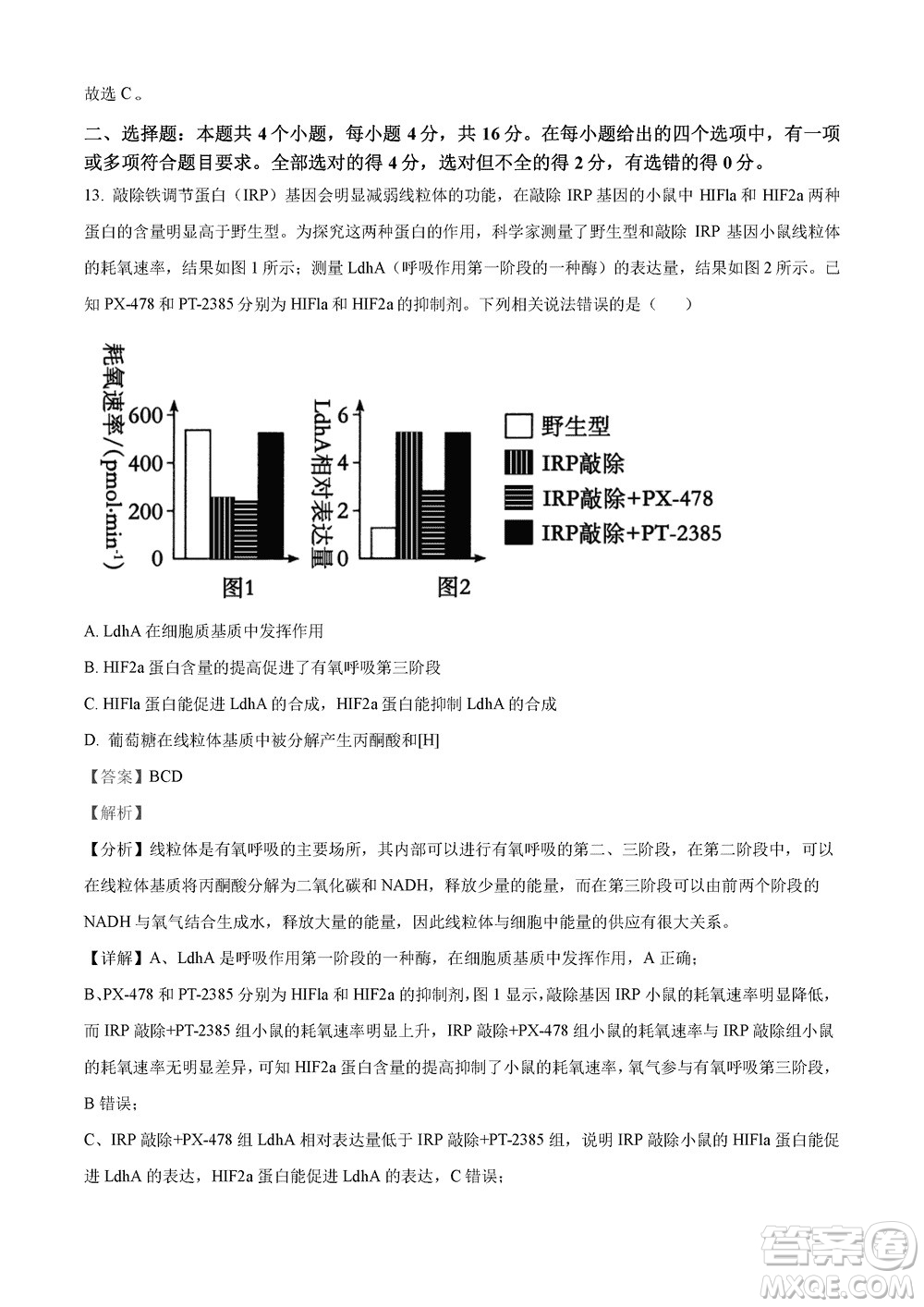 2023年11月湖南岳汨聯(lián)考高三期中考試生物參考答案