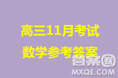 2024屆高三上學(xué)期11月TOP二十名校調(diào)研考試七數(shù)學(xué)參考答案