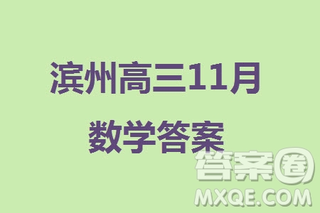 濱州市2024屆高三上學(xué)期11月學(xué)科質(zhì)量檢測(cè)數(shù)學(xué)參考答案