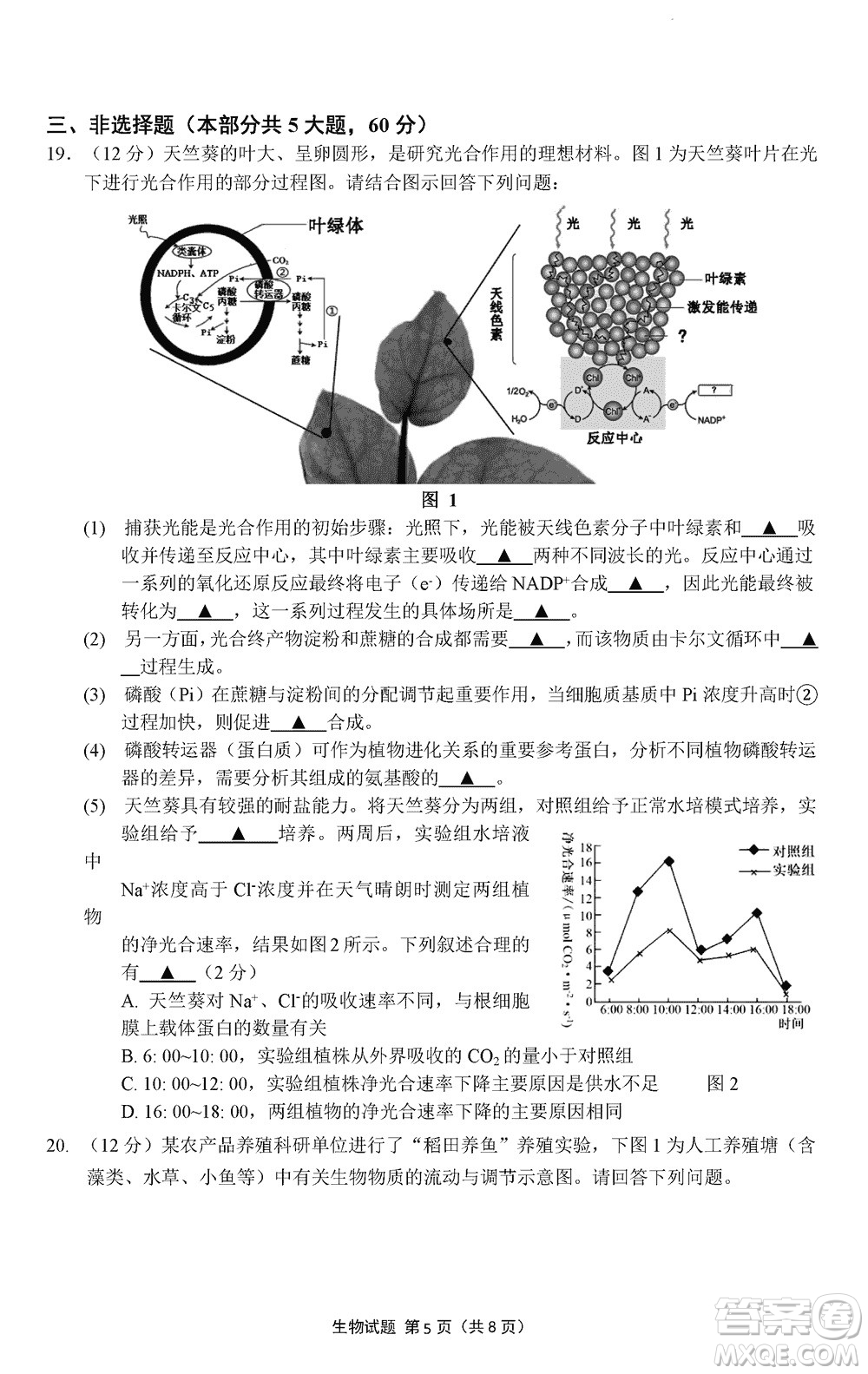 南京市六校聯(lián)合調(diào)研2023-2024學(xué)年高三上學(xué)期11月期中考試生物答案