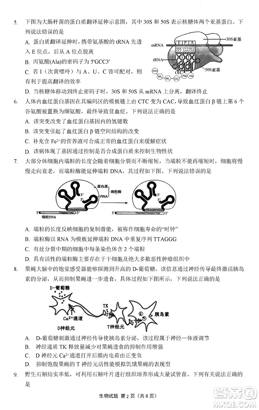 南京市六校聯(lián)合調(diào)研2023-2024學(xué)年高三上學(xué)期11月期中考試生物答案