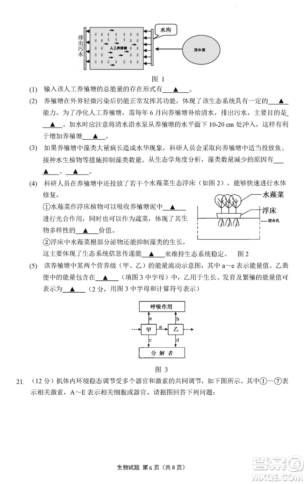 南京市六校聯(lián)合調(diào)研2023-2024學(xué)年高三上學(xué)期11月期中考試生物答案