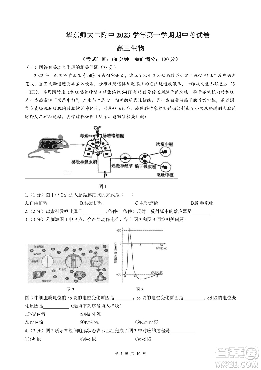 2024屆上海華二附中高三上學(xué)期11月期中考試生物參考答案