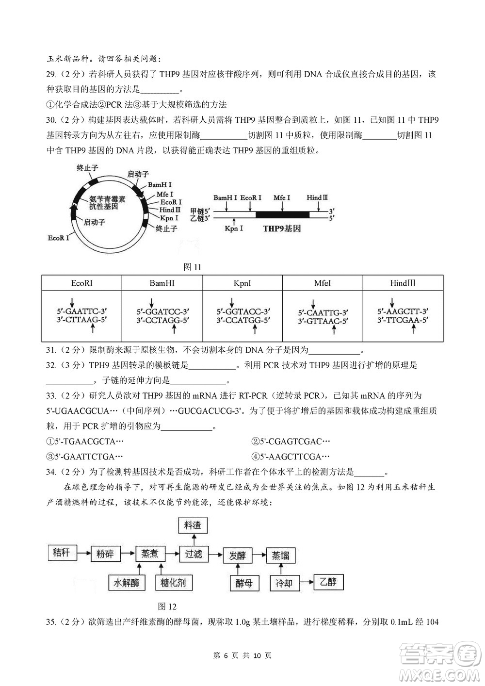 2024屆上海華二附中高三上學(xué)期11月期中考試生物參考答案