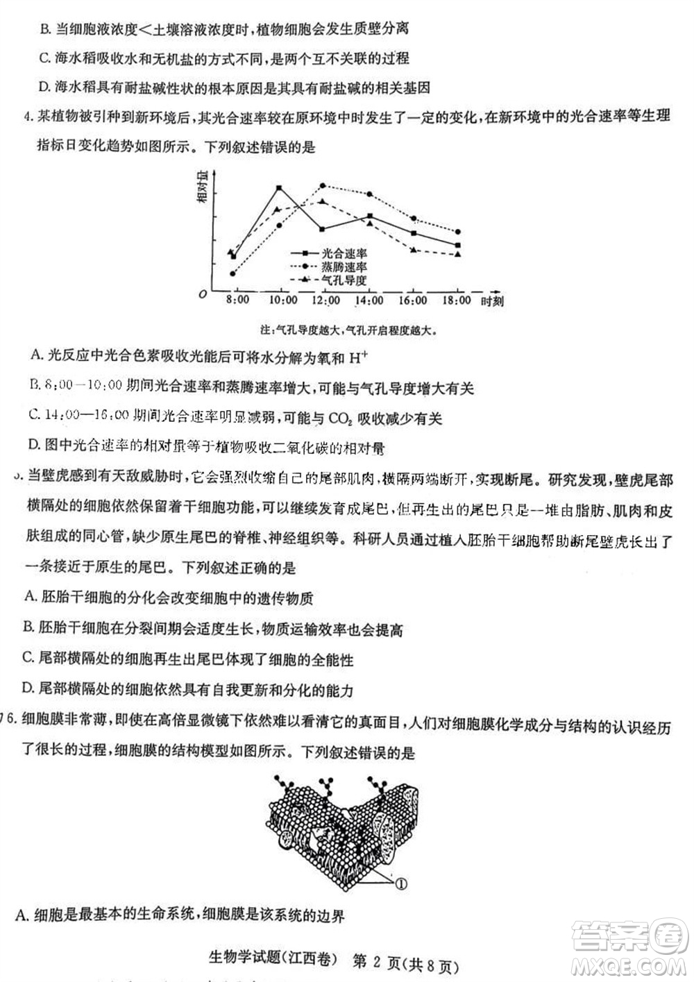 華大新高考聯(lián)盟2024屆高三11月教學(xué)質(zhì)量測(cè)評(píng)江西卷生物參考答案