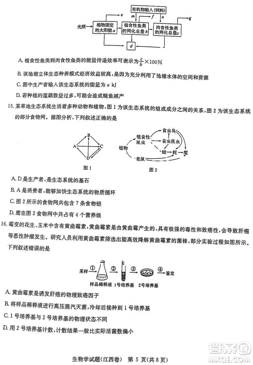 華大新高考聯(lián)盟2024屆高三11月教學(xué)質(zhì)量測(cè)評(píng)江西卷生物參考答案