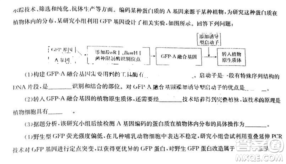 華大新高考聯(lián)盟2024屆高三11月教學(xué)質(zhì)量測(cè)評(píng)江西卷生物參考答案