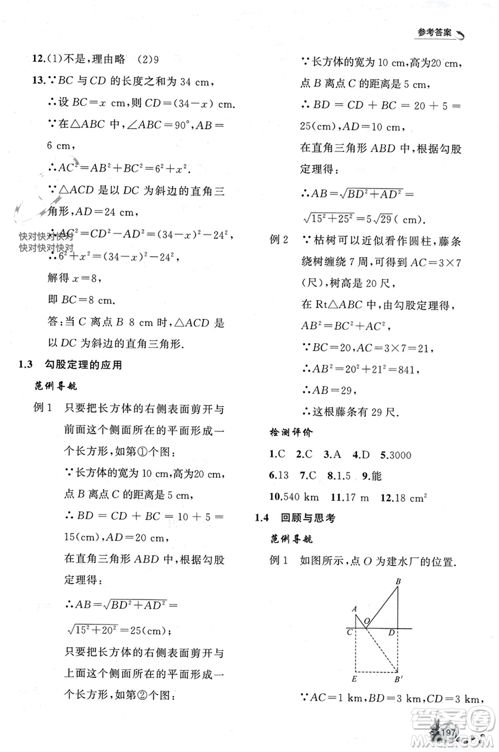 山東友誼出版社2023年秋伴你學(xué)新課程助學(xué)叢書八年級數(shù)學(xué)上冊通用版參考答案