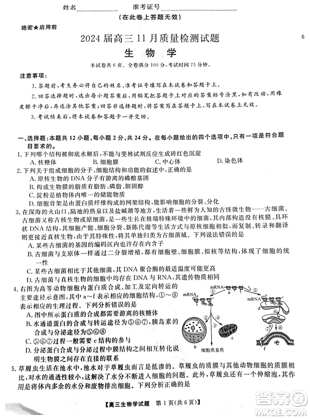 湖南天壹名校聯(lián)盟2024屆高三上學(xué)期11月質(zhì)量檢測試題生物參考答案