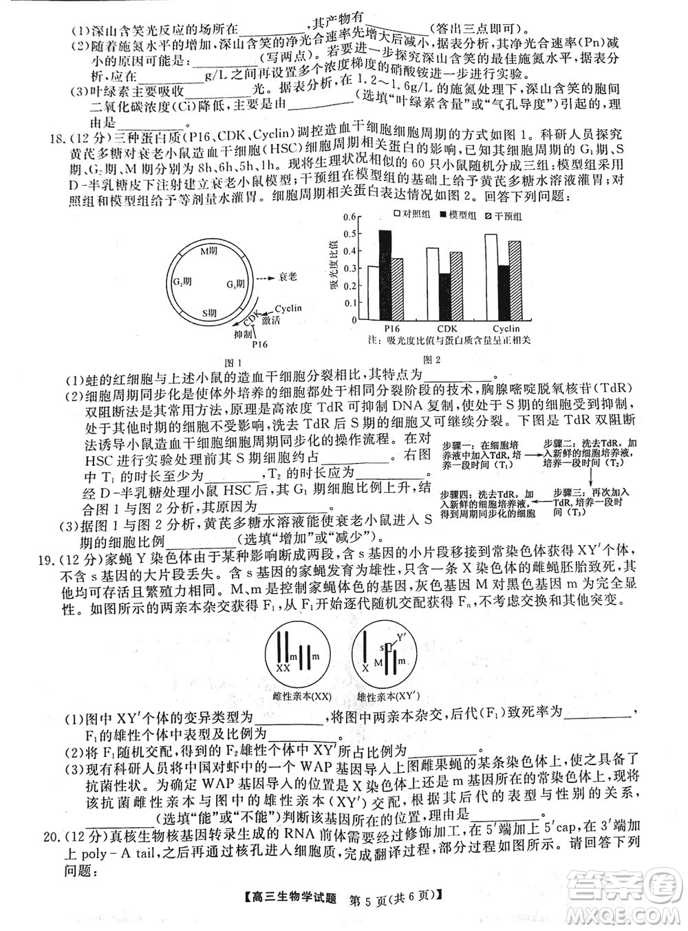 湖南天壹名校聯(lián)盟2024屆高三上學(xué)期11月質(zhì)量檢測試題生物參考答案