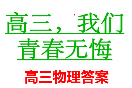 重慶烏江新高考協(xié)作體2024屆高三上學(xué)期12月期中學(xué)業(yè)質(zhì)量聯(lián)合調(diào)研抽測(cè)物理答案