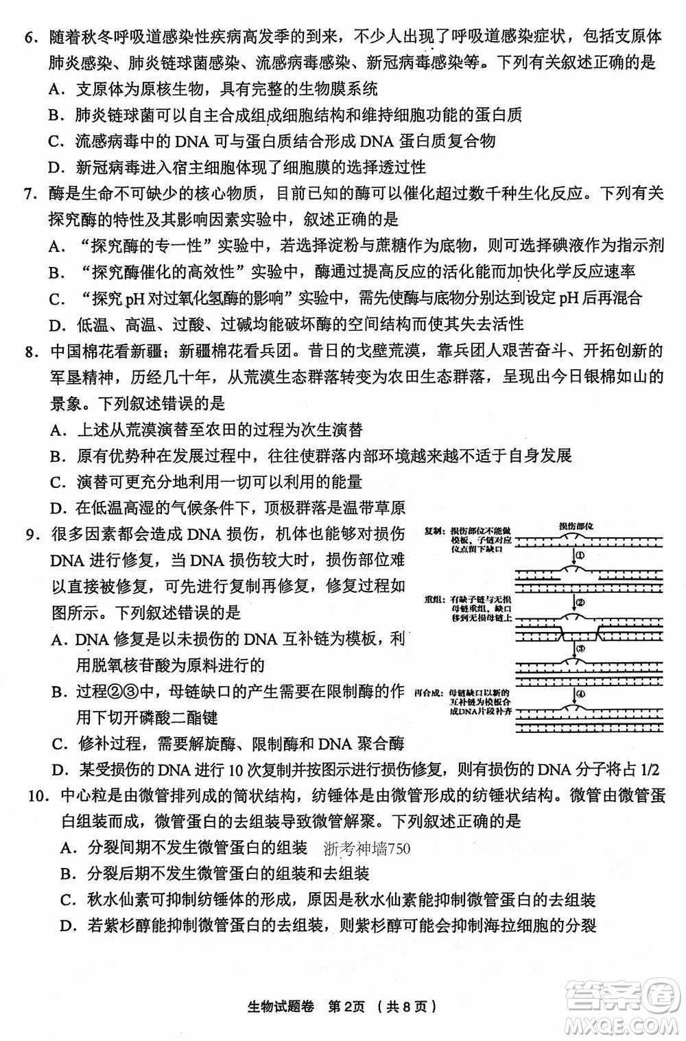 金麗衢十二校2024屆高三上學(xué)期12月第一次聯(lián)考生物參考答案