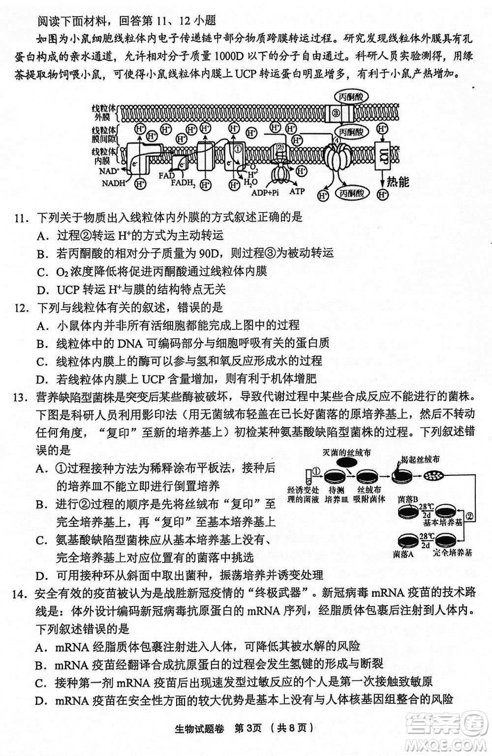 金麗衢十二校2024屆高三上學(xué)期12月第一次聯(lián)考生物參考答案