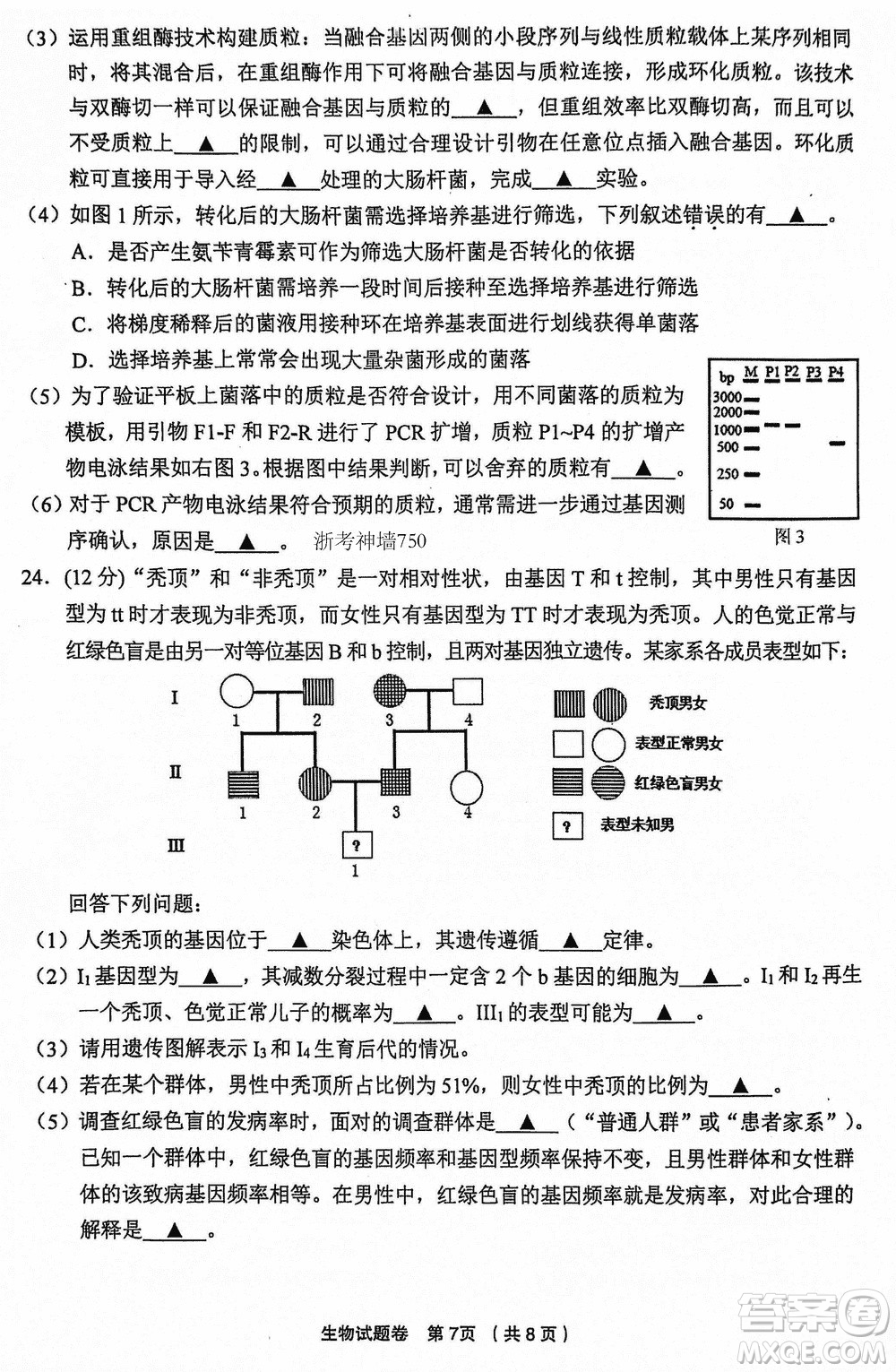 金麗衢十二校2024屆高三上學(xué)期12月第一次聯(lián)考生物參考答案