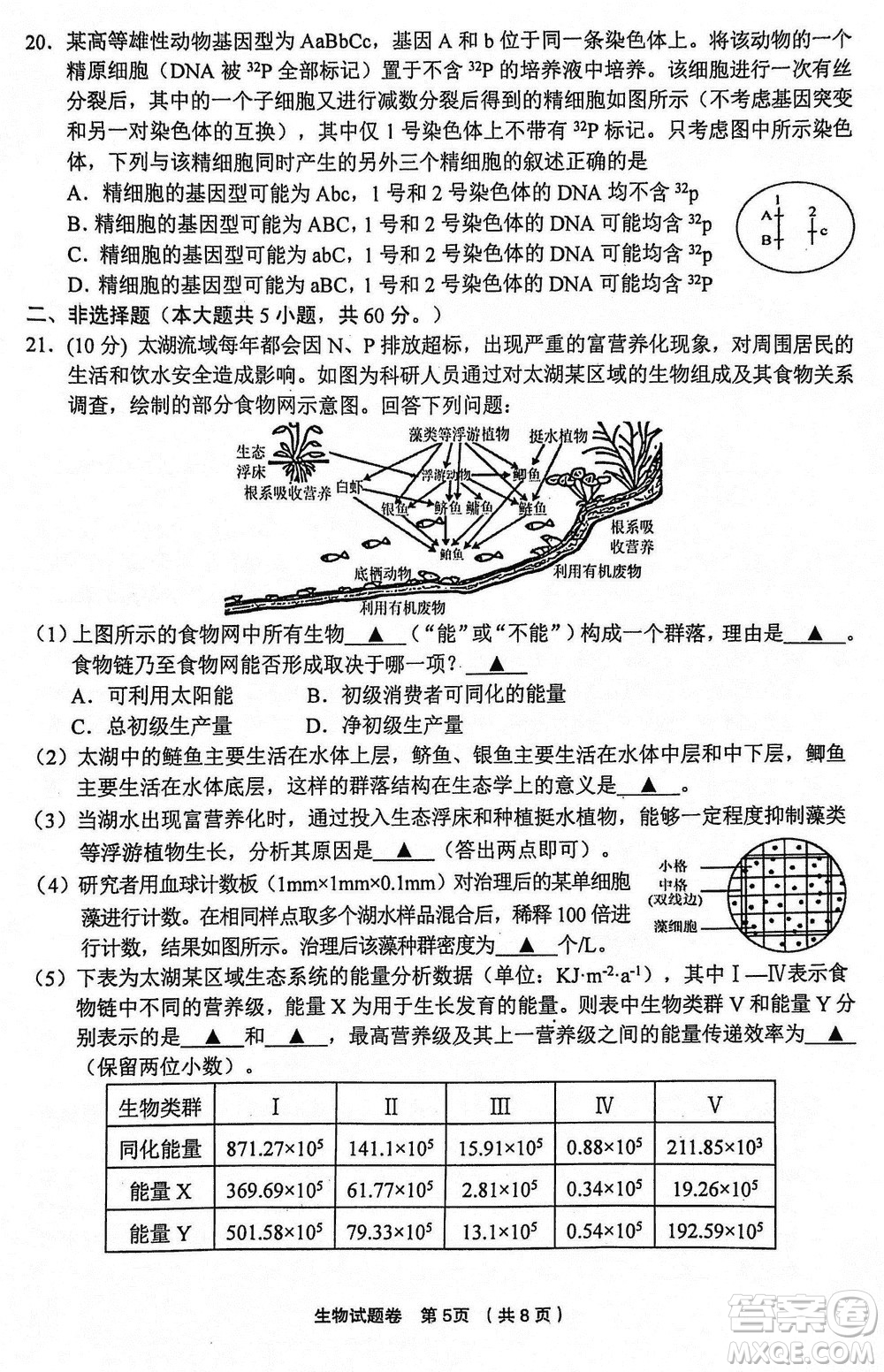 金麗衢十二校2024屆高三上學(xué)期12月第一次聯(lián)考生物參考答案