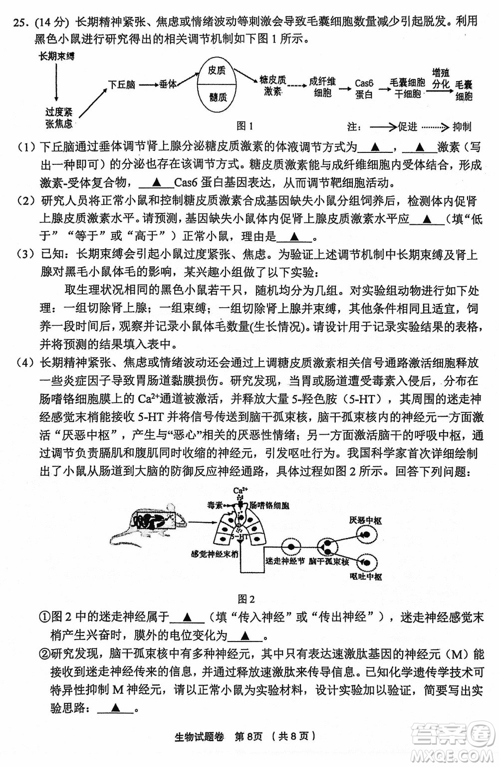 金麗衢十二校2024屆高三上學(xué)期12月第一次聯(lián)考生物參考答案