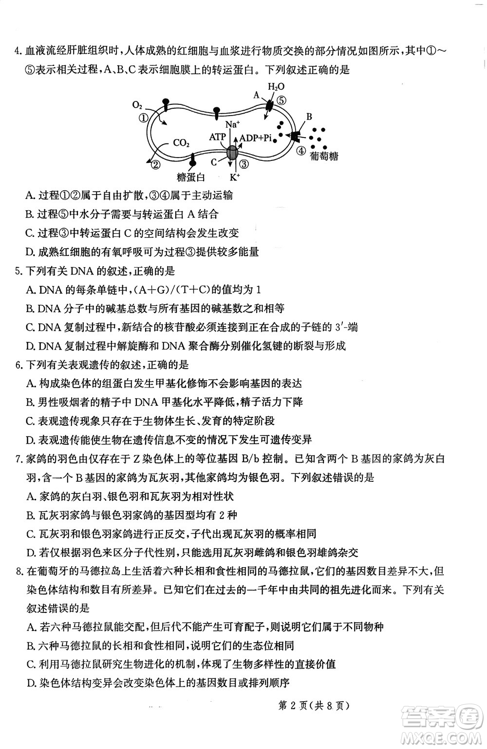 2024屆河北省部分重點高中高三上學(xué)期12月普通高考模擬試題生物參考答案