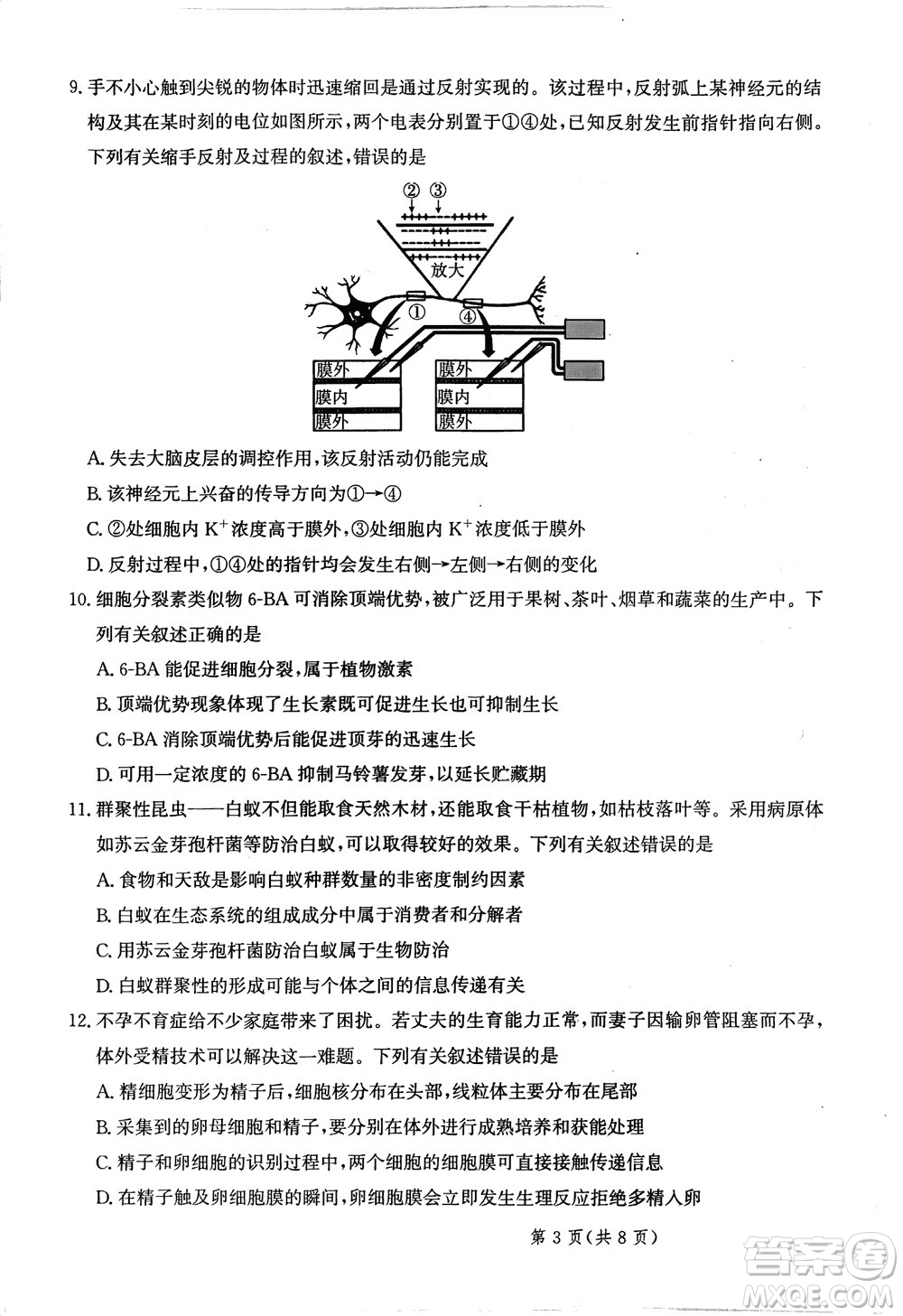 2024屆河北省部分重點高中高三上學(xué)期12月普通高考模擬試題生物參考答案