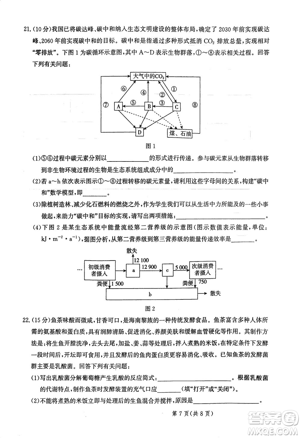 2024屆河北省部分重點高中高三上學(xué)期12月普通高考模擬試題生物參考答案