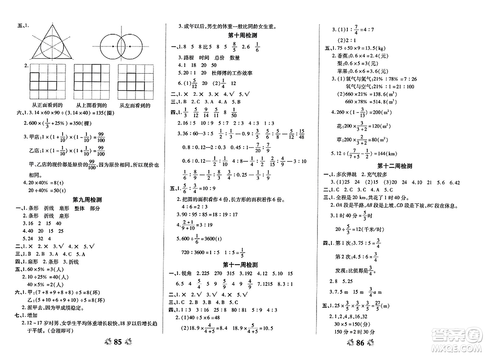 山東美術出版社2023年秋全能練考卷六年級數學上冊北師大版答案