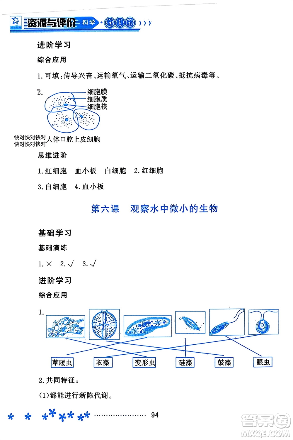 黑龍江教育出版社2023年秋資源與評(píng)價(jià)六年級(jí)科學(xué)上冊(cè)教科版參考答案