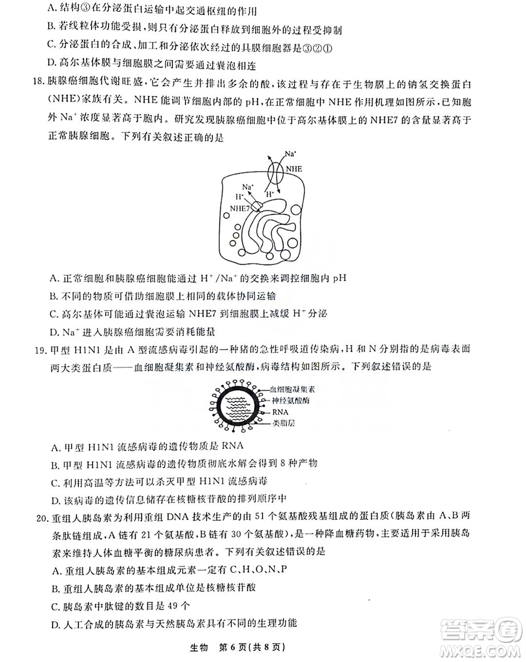 遼寧名校聯(lián)盟2023-2024年高一上12月聯(lián)考生物試卷答案