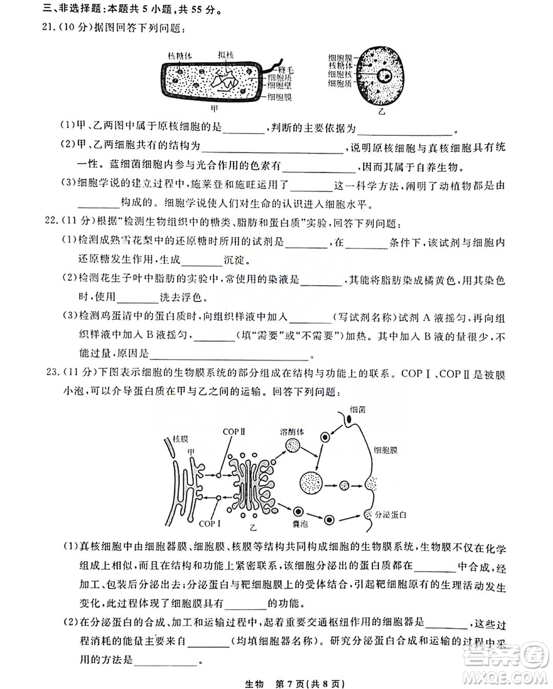 遼寧名校聯(lián)盟2023-2024年高一上12月聯(lián)考生物試卷答案