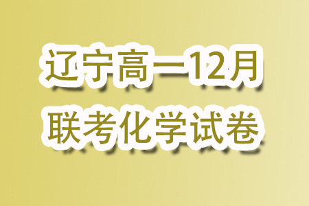 遼寧名校聯(lián)盟2023-2024年高一上12月聯(lián)考化學(xué)試卷答案