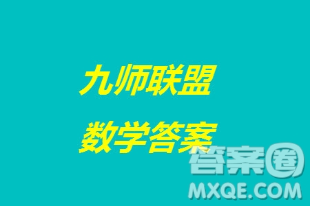 九師聯(lián)盟聯(lián)考2024屆高三12月質(zhì)量檢測新高考數(shù)學(xué)試題答案