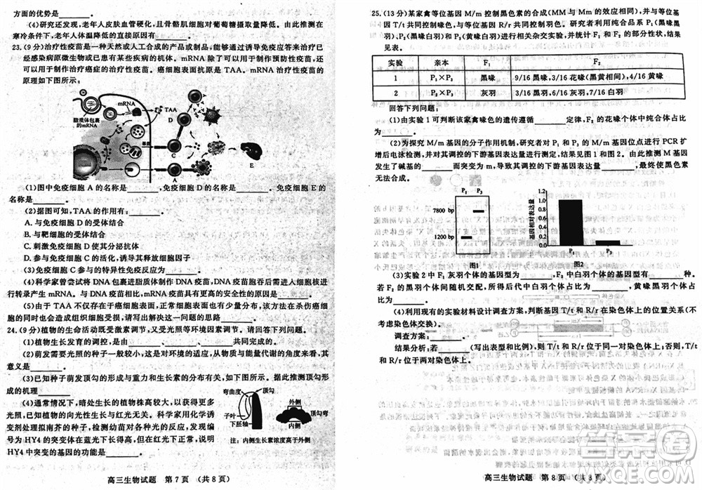 山東名?？荚嚶?lián)盟2023年12月高三年級(jí)階段性檢測(cè)生物試題參考答案