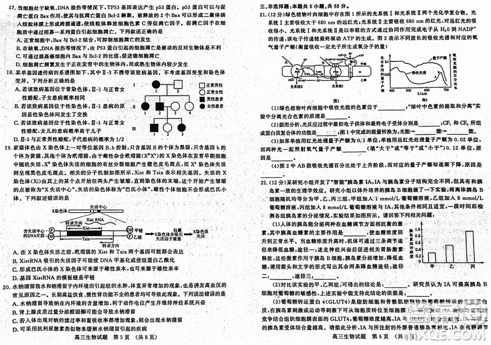 山東名?？荚嚶?lián)盟2023年12月高三年級(jí)階段性檢測(cè)生物試題參考答案