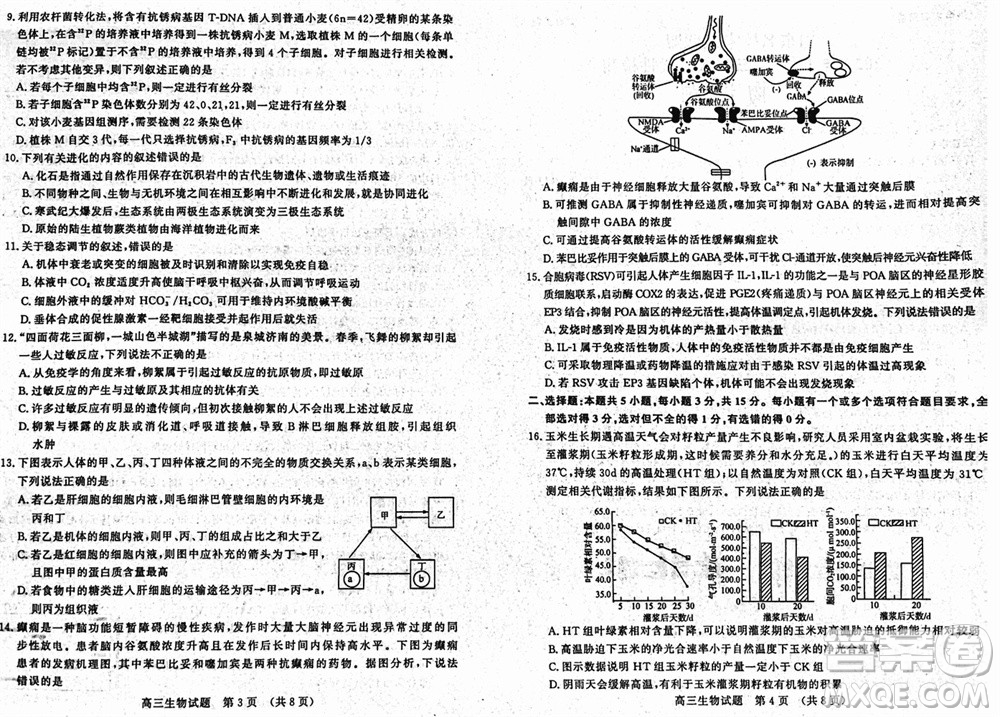 山東名?？荚嚶?lián)盟2023年12月高三年級(jí)階段性檢測(cè)生物試題參考答案