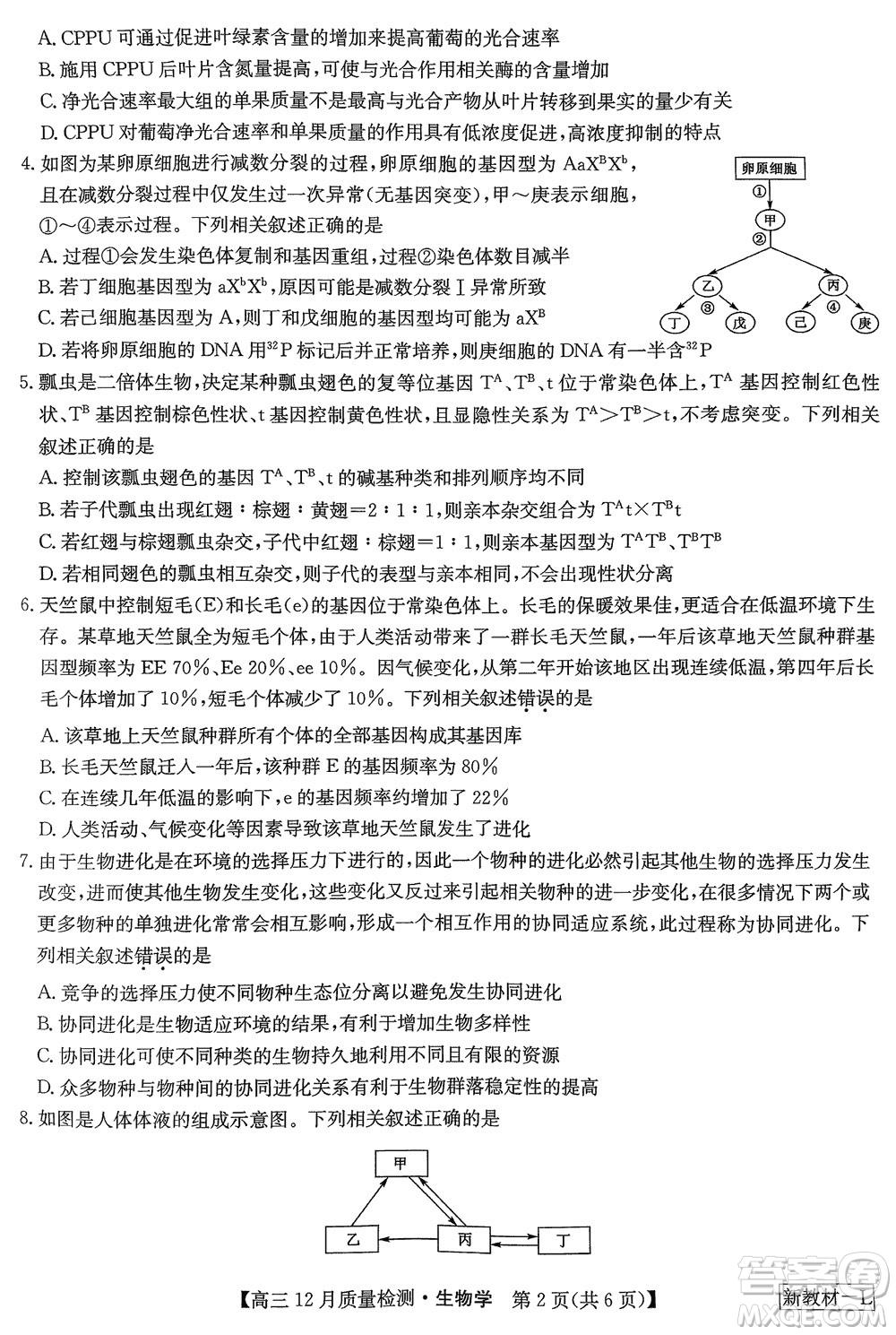 九師聯(lián)盟聯(lián)考2024屆高三12月質量檢測新教材生物試題參考答案