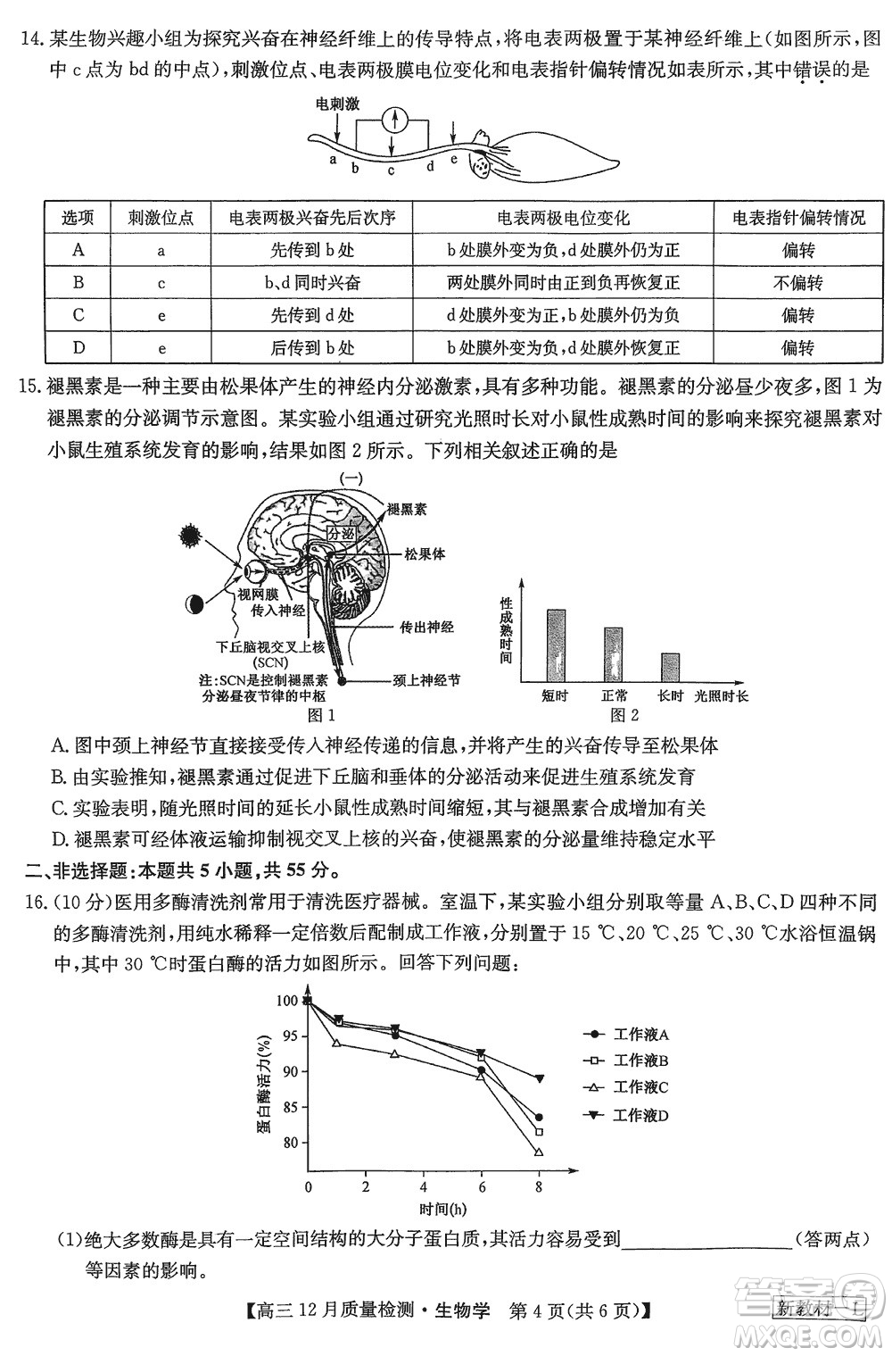 九師聯(lián)盟聯(lián)考2024屆高三12月質量檢測新教材生物試題參考答案